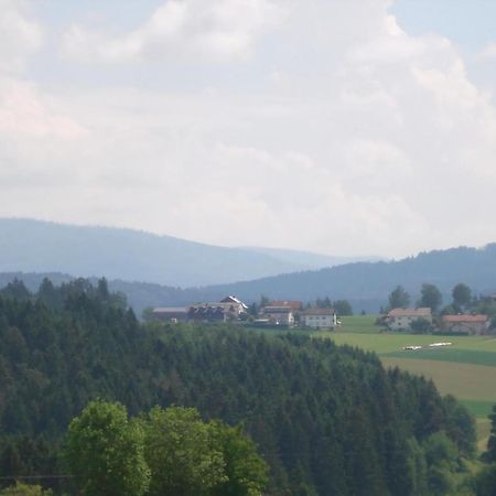 Ferienwohnung Rachel Mit Herrlichem Ausblick Rinchnach Exterior photo