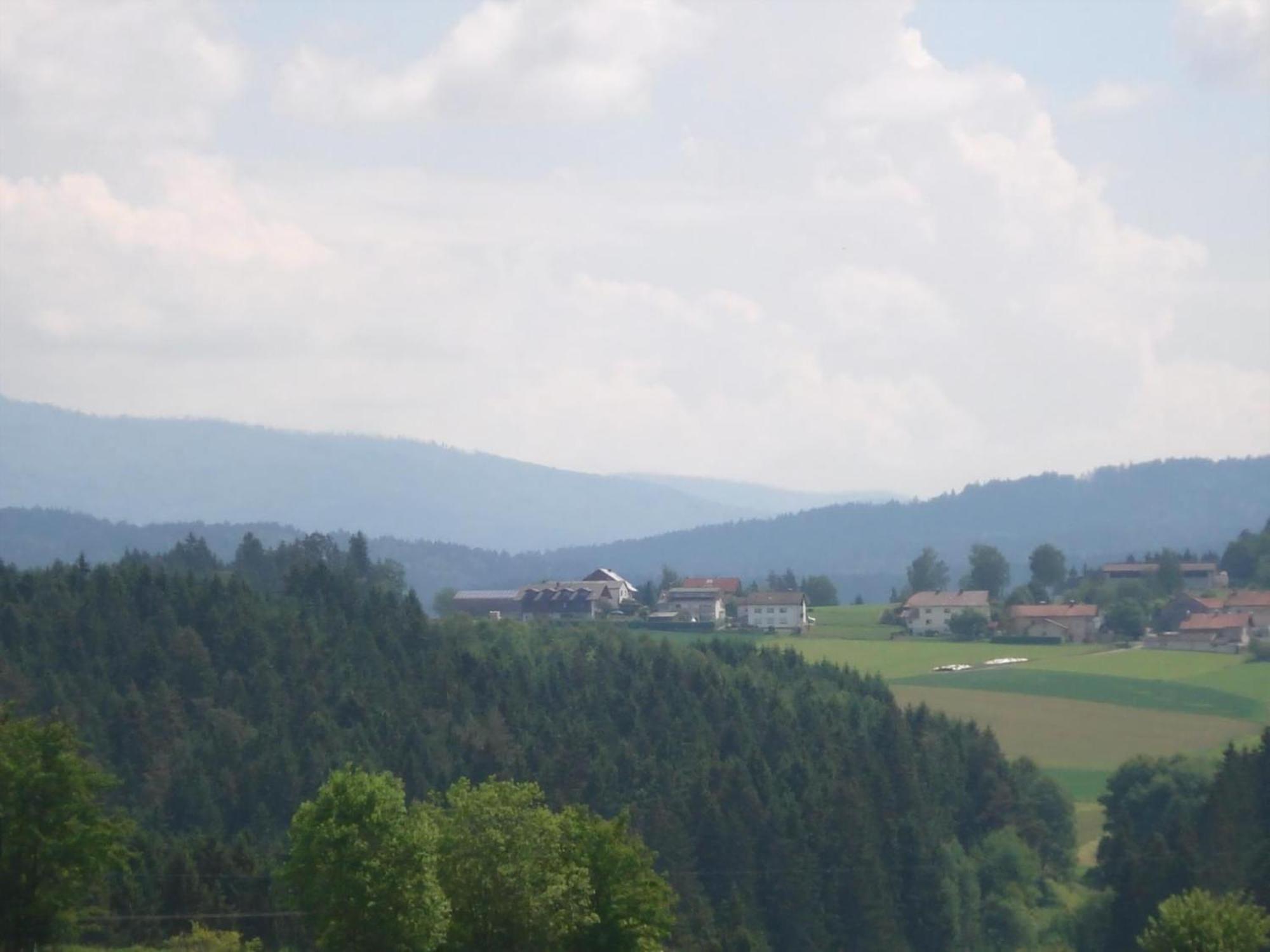 Ferienwohnung Rachel Mit Herrlichem Ausblick Rinchnach Exterior photo